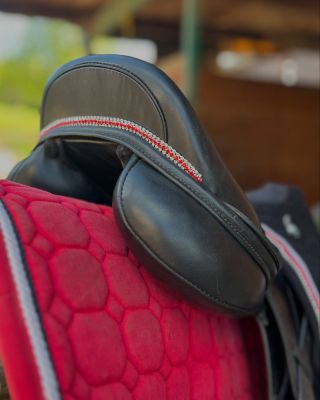 Protože na detailech záleží 🥰 šperk na sedlo Triple červený ❤️ #details #horses #jewel