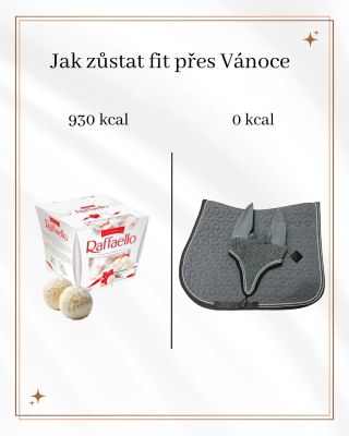 Nebo taková nová helma 😏🤩 A co napadá vás? Napište mi do komentářů! #horses #christmasideas #ideas #smallbuisness #horsegirl